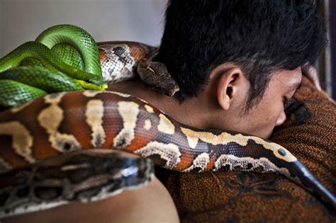 Sexual massage Schlangen