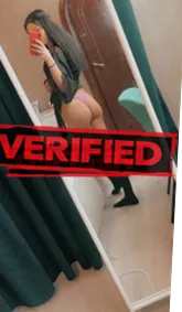 Jill sexy Prostitute Edam